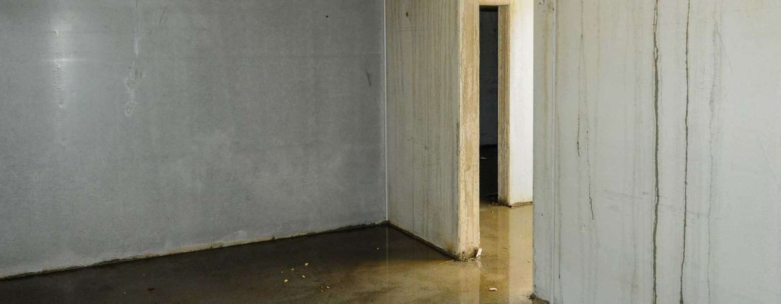 Call A Professional Plumber For Basement Flood In Toronto