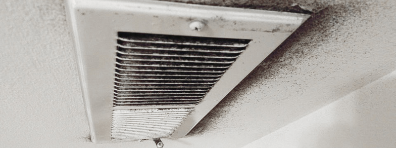 prevent mold by air duct cleaning