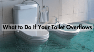 What To Do If Your Toilet Overflows